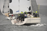animal gbr1952l kip 13 130511 5000